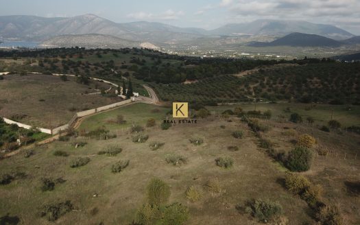 PLOT 7.180,17 SQ.M – PLOT 7.252,28 SQ.M