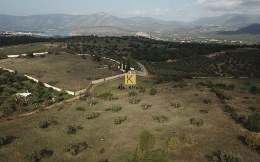 PLOT 7.180,17 SQ.M – PLOT 7.252,28 SQ.M