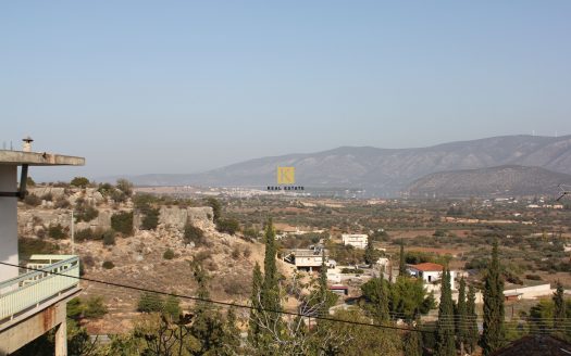 Traditional House for Sale